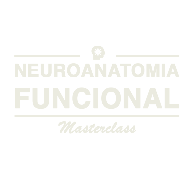 Neuroanatomia Funcional